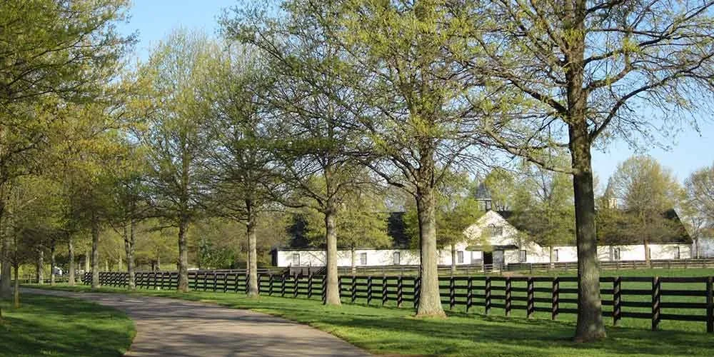 Panoramic view across the paddocks and fields at Crestwood Farm