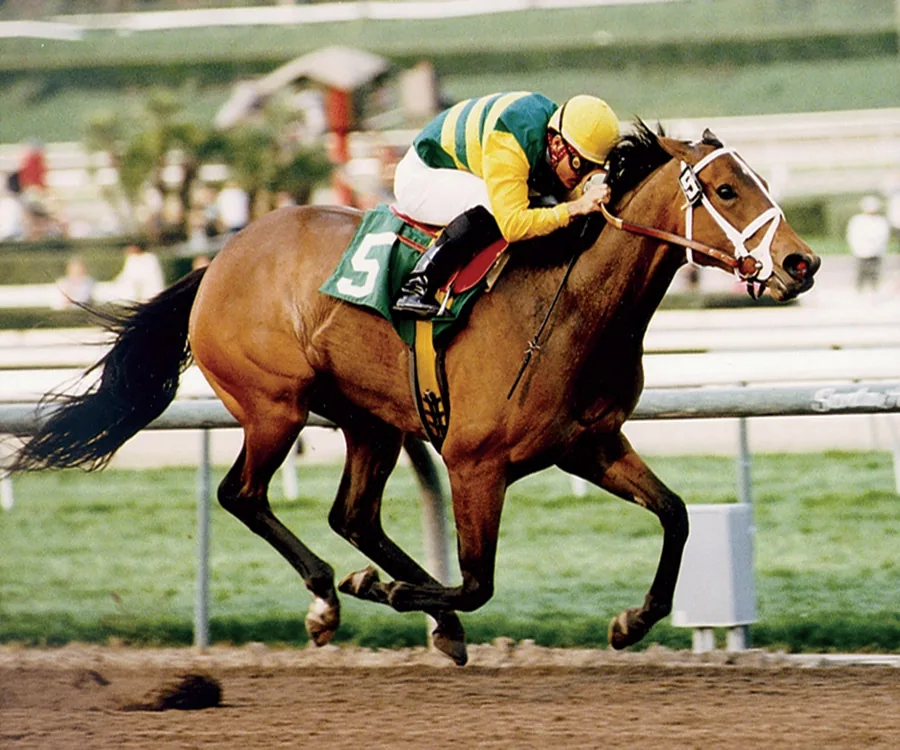 Serena's Song, Hall of Fame champion foaled, raised and sold by Crestwood Farm