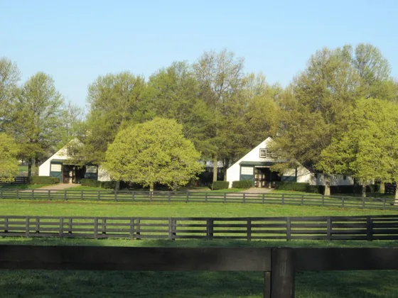 Barn interior at Crestwood Farm in Lexington, Kentucky