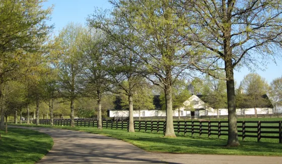 Crestwood Farm in Lexington, Kentucky
