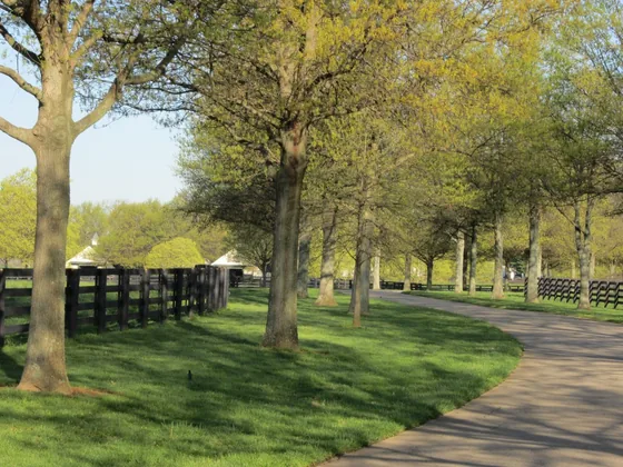 Fields and fencing at Crestwood Farm in Lexington, Kentucky