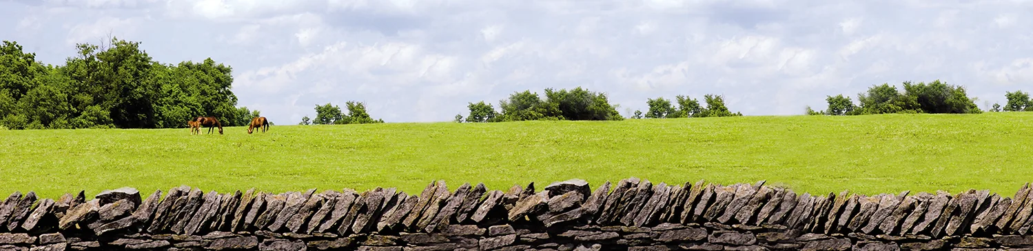 Crestwood Farm barn and paddocks in Lexington, Kentucky