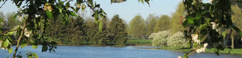 Tree-lined drive through the 1,000-acre Crestwood Farm