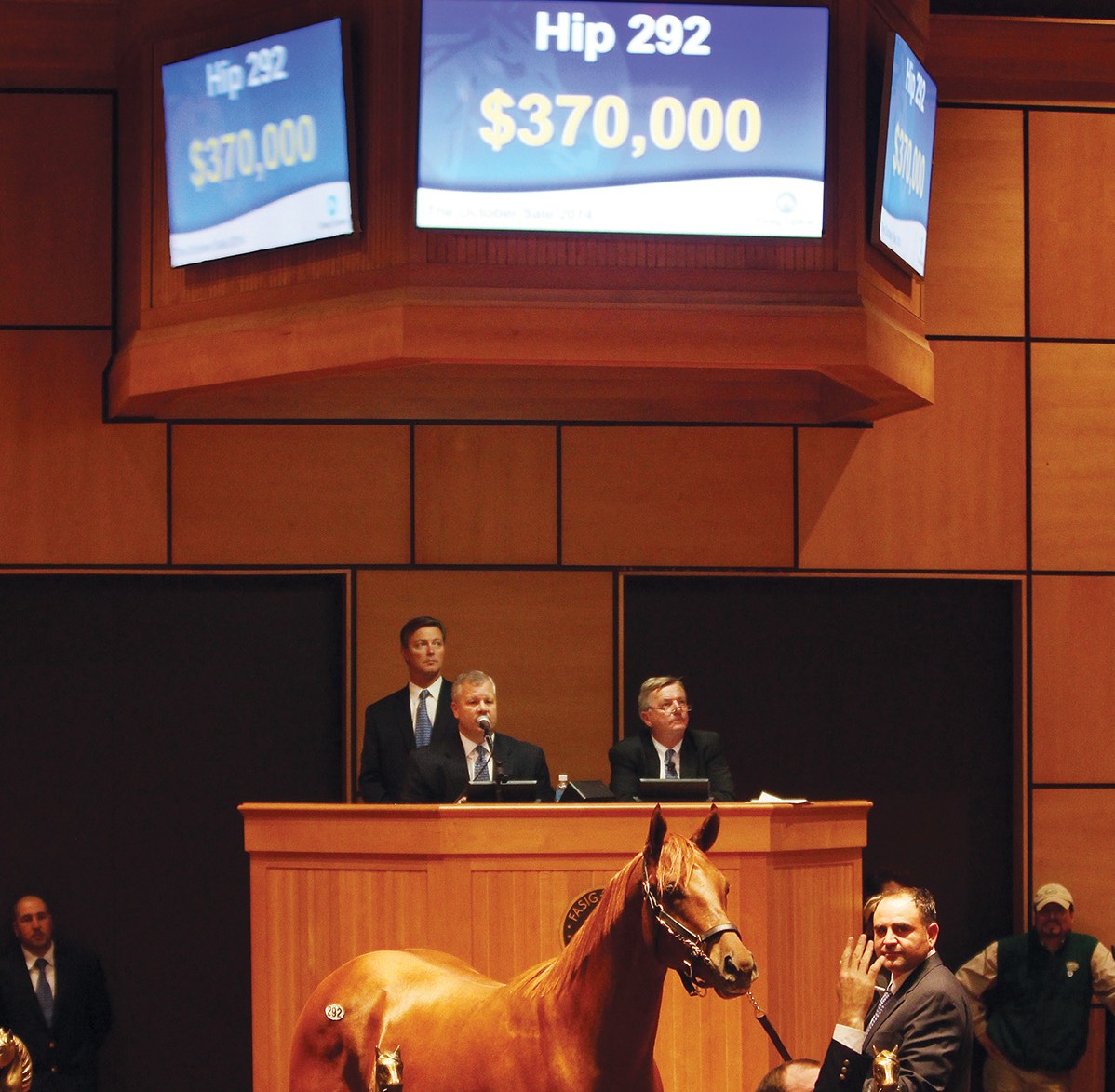 Hip 292,  2014 Fasig-Tipton October Sale